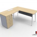 ESTACIÓN L PATA R60